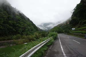 aDSC05429s300.jpg